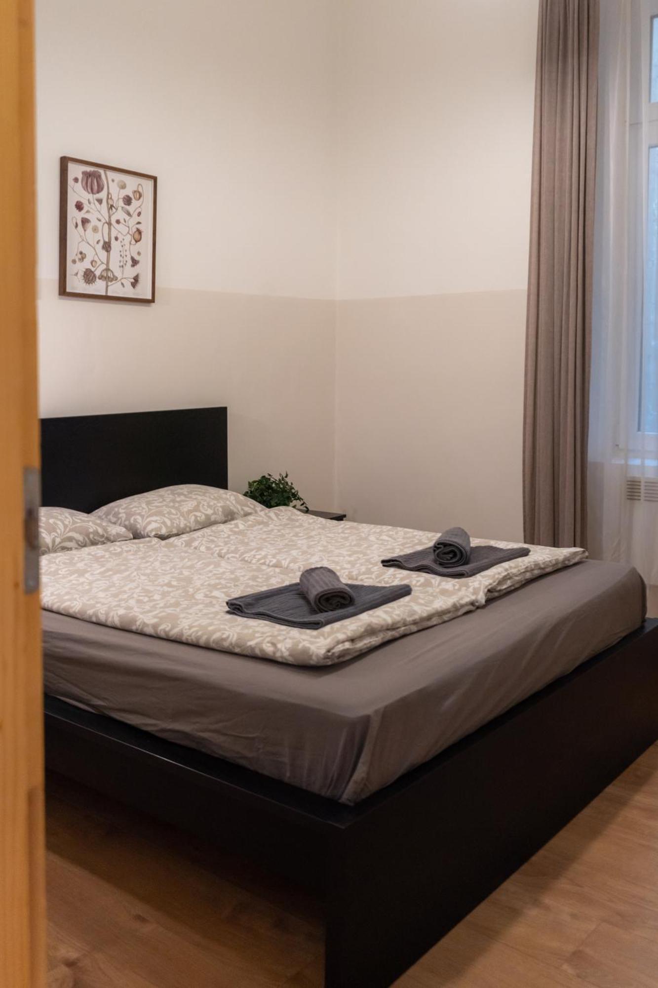 Cozy Apartment In Akacfa Street بودابست المظهر الخارجي الصورة